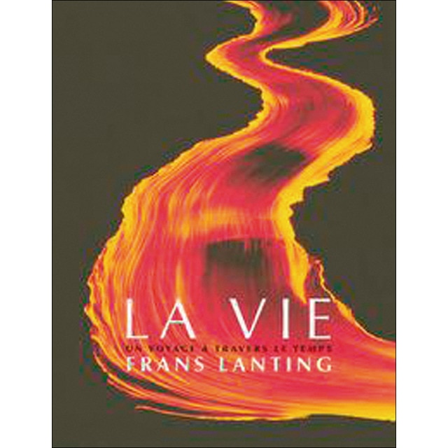 Lanting life 1