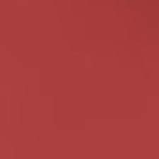 03 LE NUDE INTENSE - SATIN