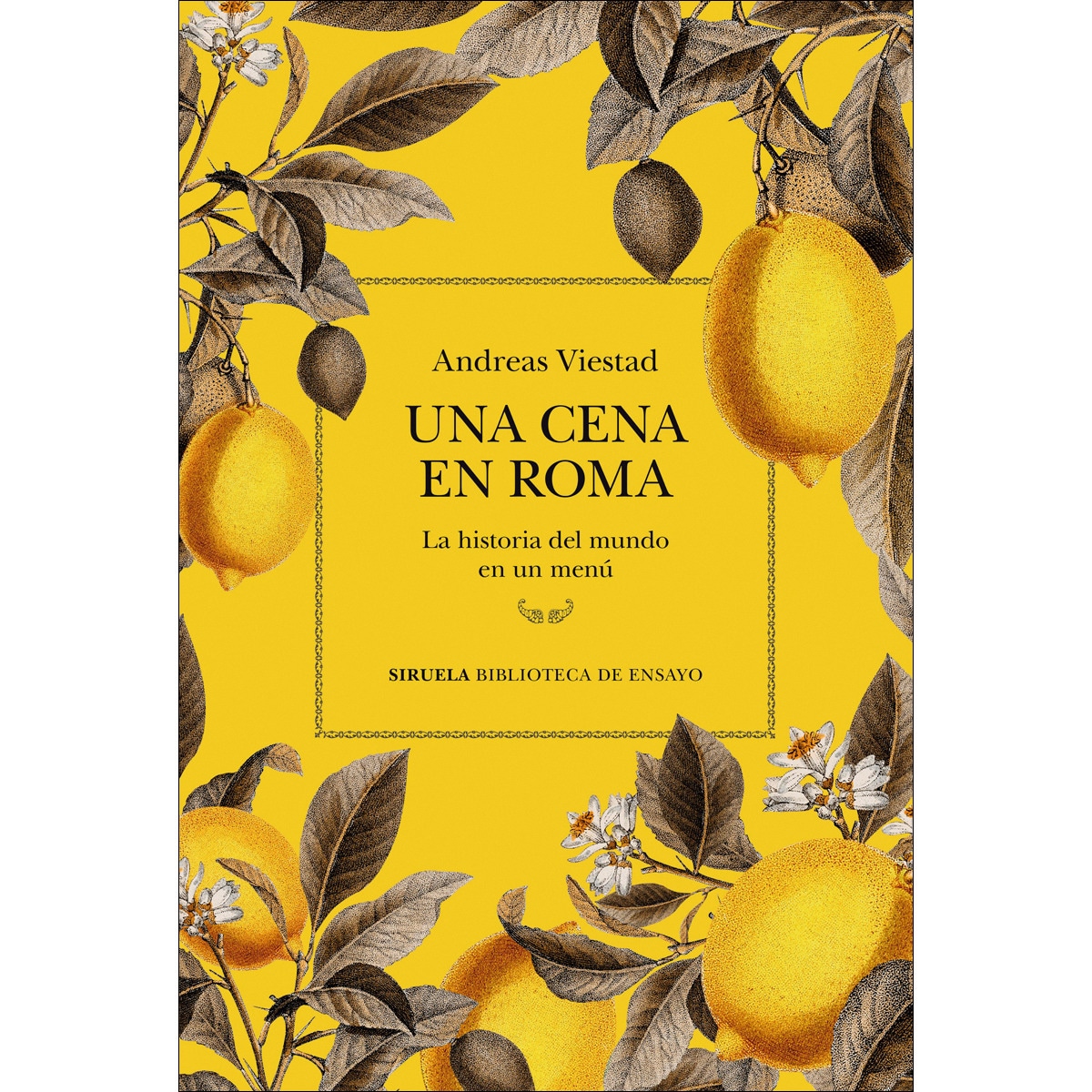 Una cena en Roma: La historia del mundo en un menú (Capa mole com abas) 1