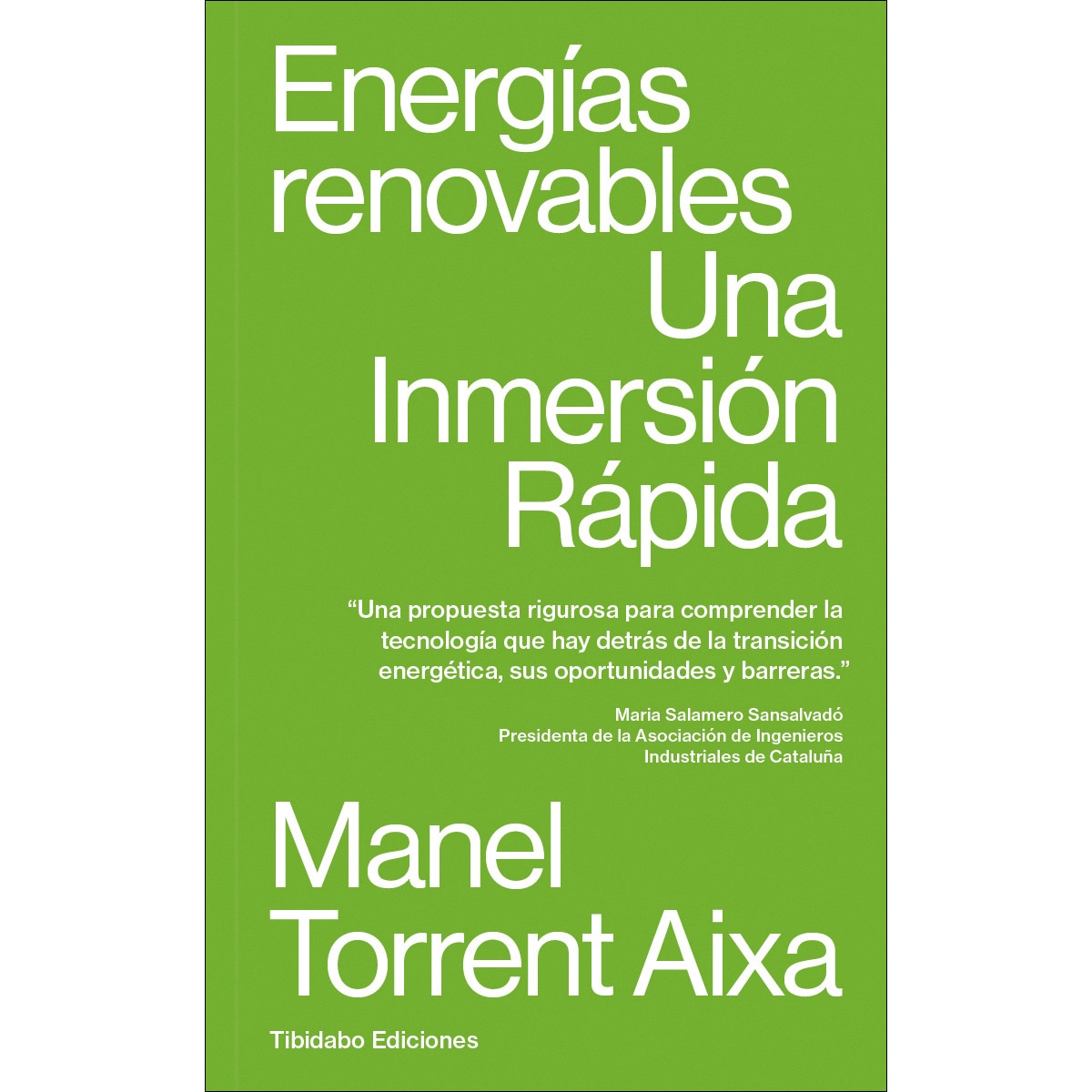 Energías Renovables: Una Inmersión Rápida (Capa mole com abas) 1