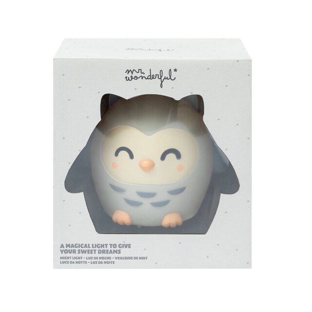 Imagem 0 de Luz de presença mágica Mr. Wonderful para sonhar: Coruja