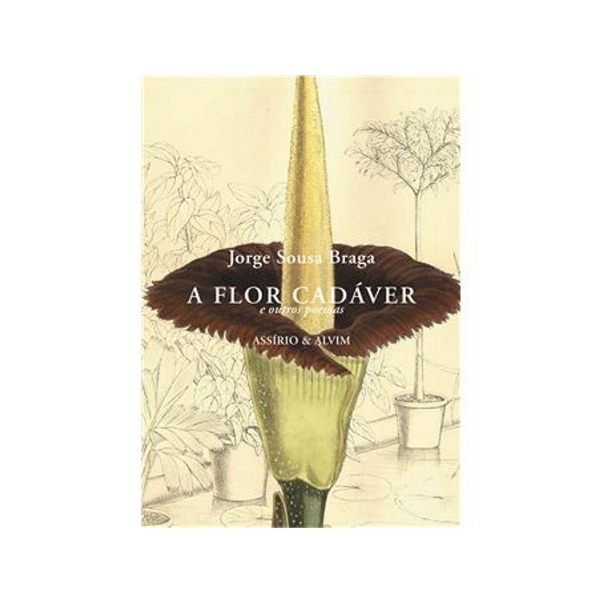 Imagem 0 de A flor cadaver