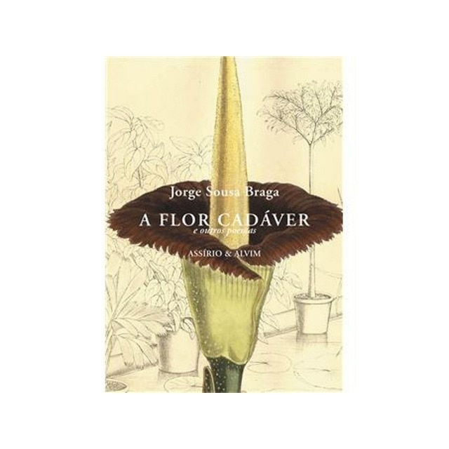 Imagem 0 de A flor cadaver