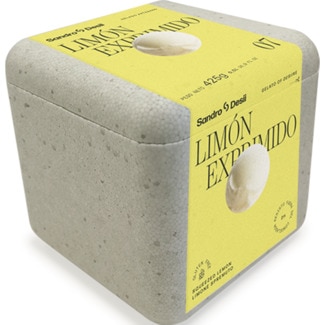 Sorvete de Limão embalagem 500 ml - Sandro Desii
