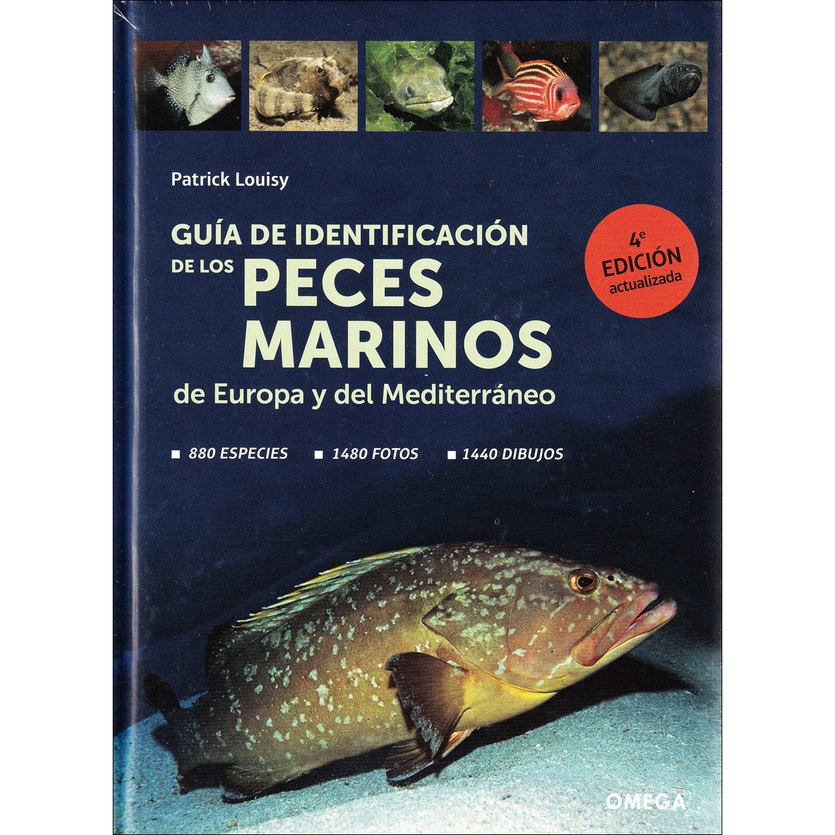 Guía de identificación de los peces marinos de eur 1