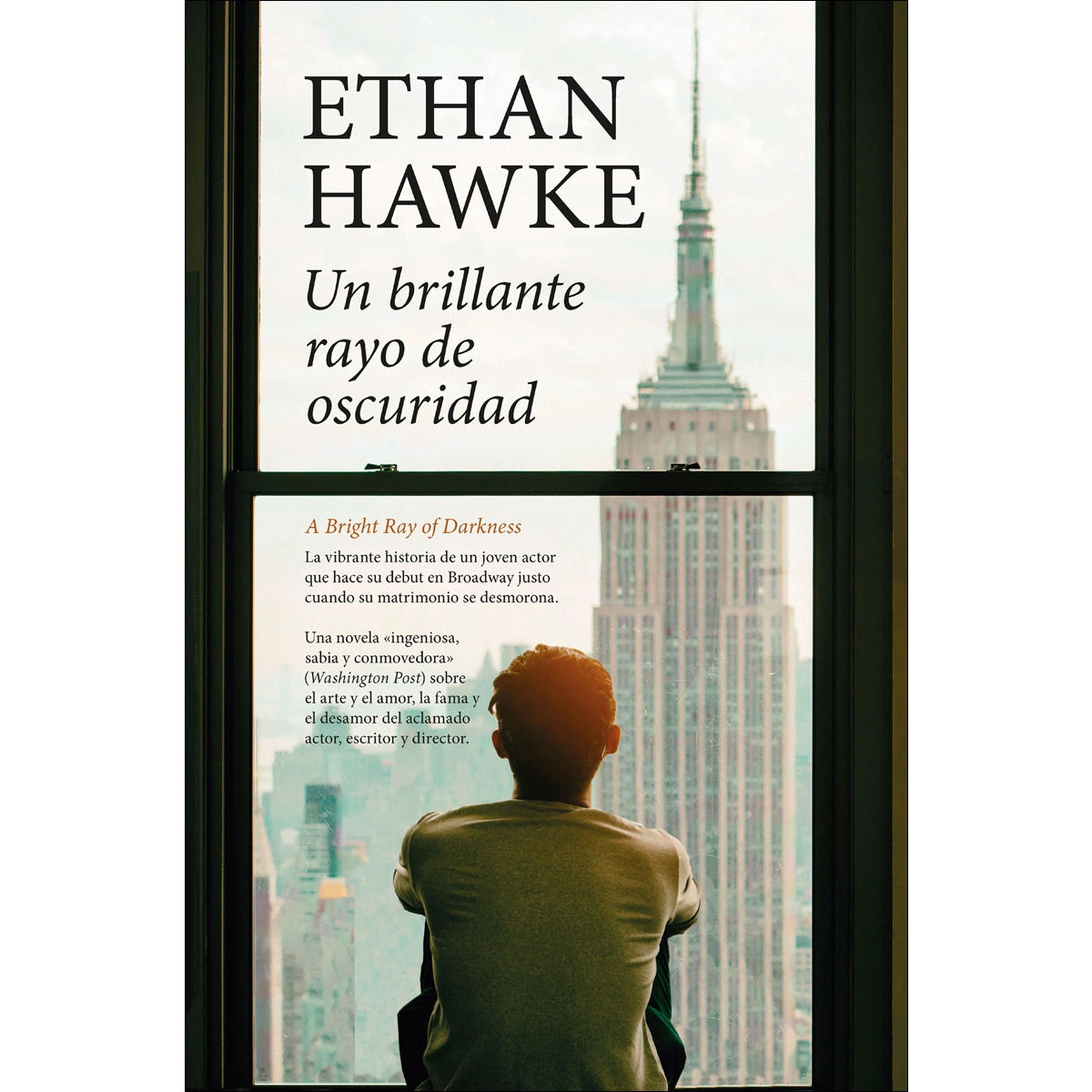 Imagem 0 de Un brillante rayo de oscuridad (Capa mole)