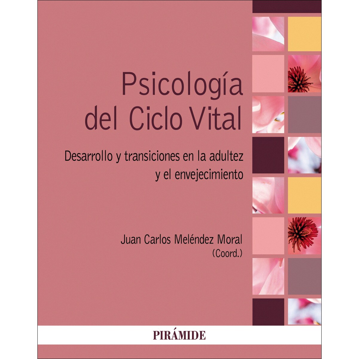 Psicología del Ciclo Vital: Desarrollo y transiciones en la adultez y el envejecimiento 1