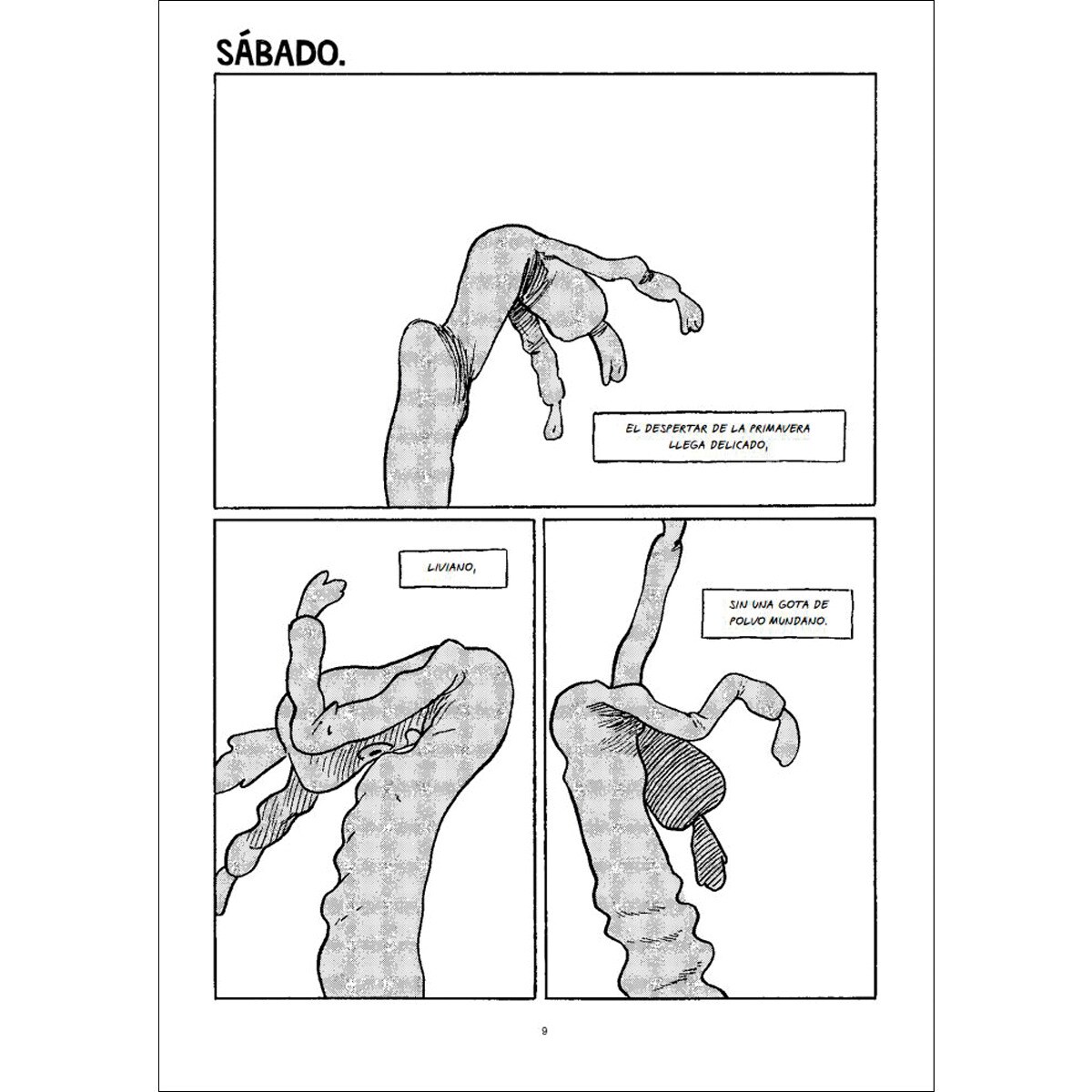 El nirvana está aquí (Capa mole com abas) 2