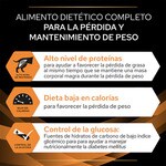 Pienso para perros adultos Obesity Management Dietas Veterinarias envase 12 kg