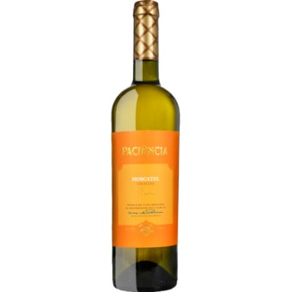 Vinho Branco do Tejo Moscatel Graudo garrafa 75 cl - Casa Paciência