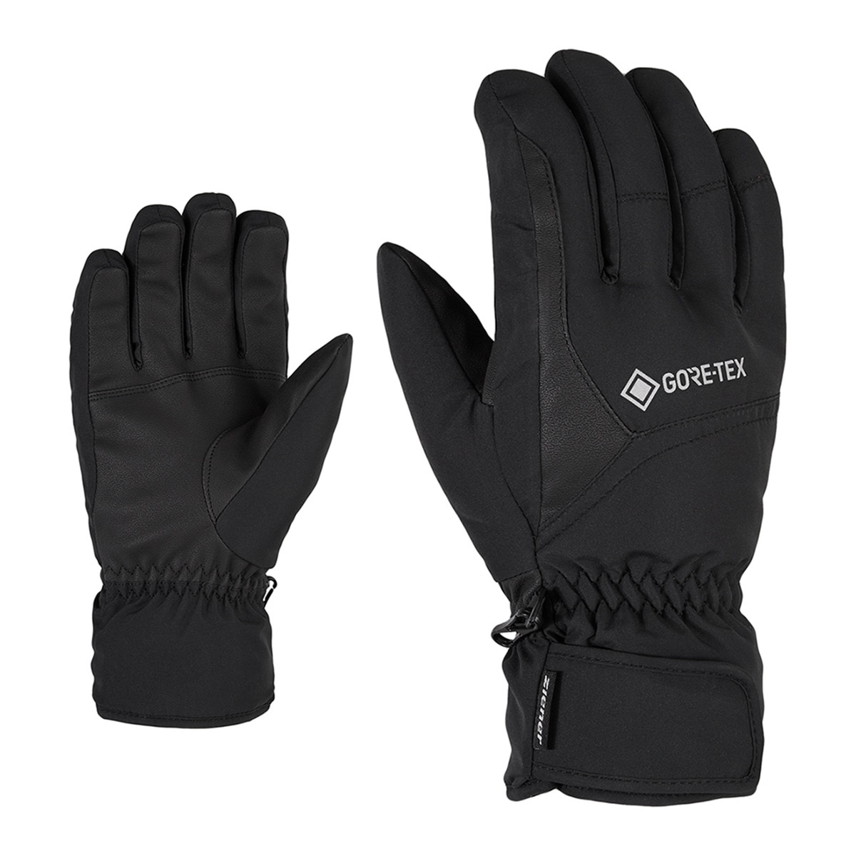 Luvas de Ski de Homem Garwen GTX Preto-1