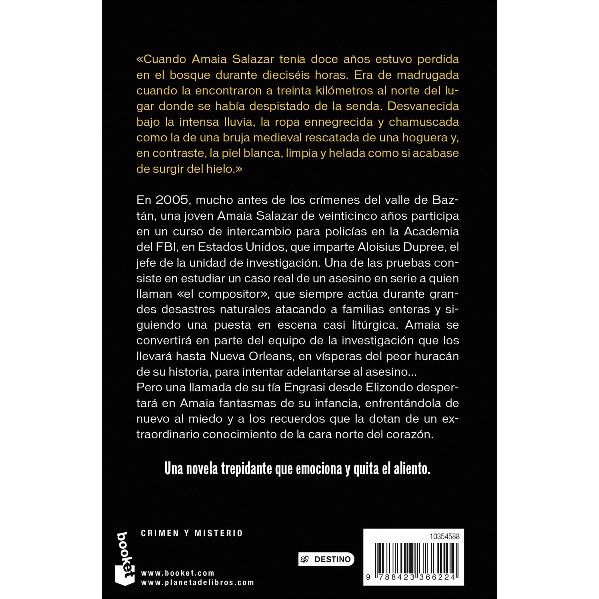 La cara norte del corazón (Bolso) 2