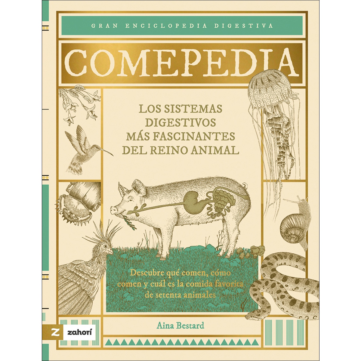 Comepedia: Los sistemas digestivos más fascinantes del reino animal ·  ZAHORI DE IDEAS · El Corte Inglés
