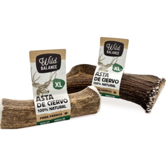 Chifre de Veado XL 1 embalagem - Wild Balance