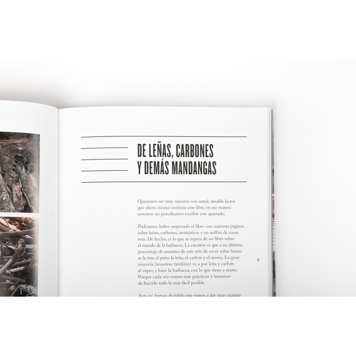 La barbacoa  (Tapa blanda) 15