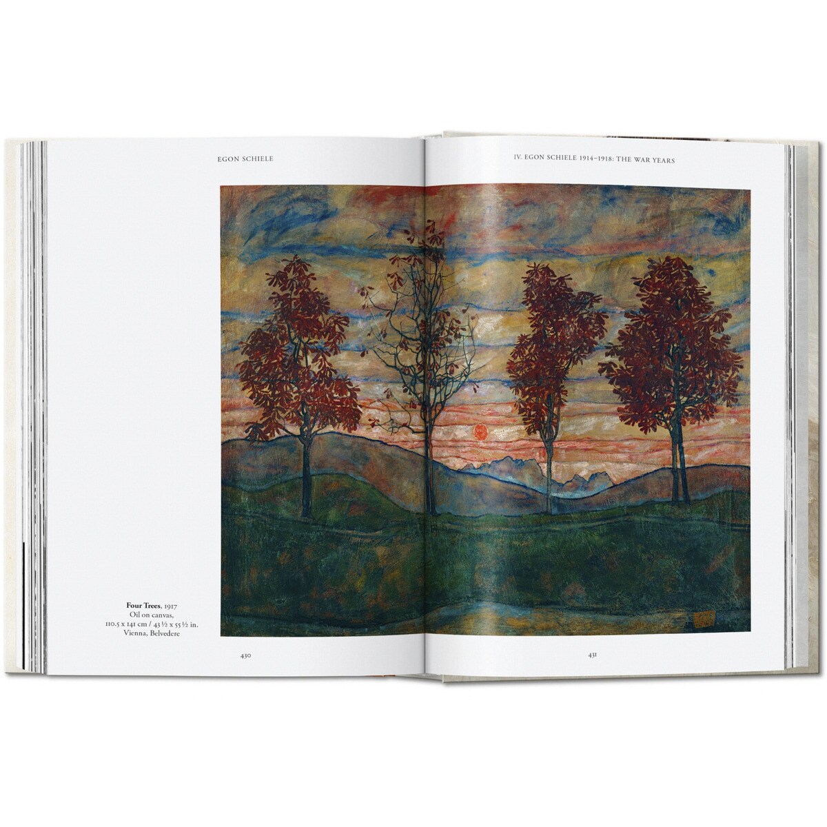 Egon Schiele. Die Gemälde. 40th Ed. (Capa dura) 5