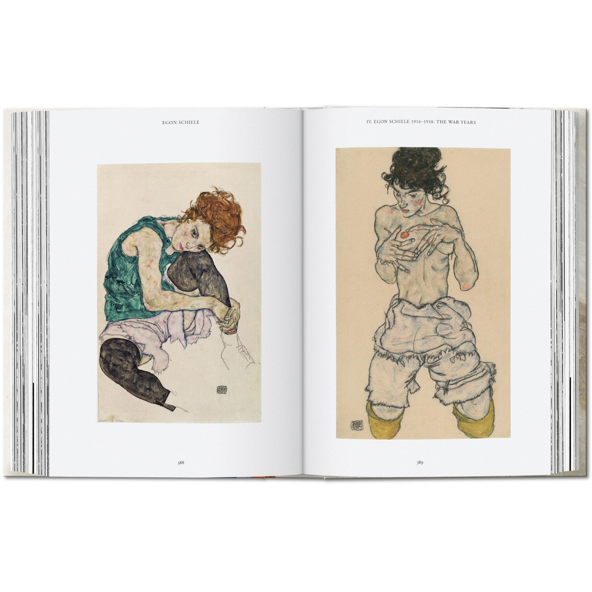 Egon Schiele. Les peintures. 40th Ed. (Capa dura) 6