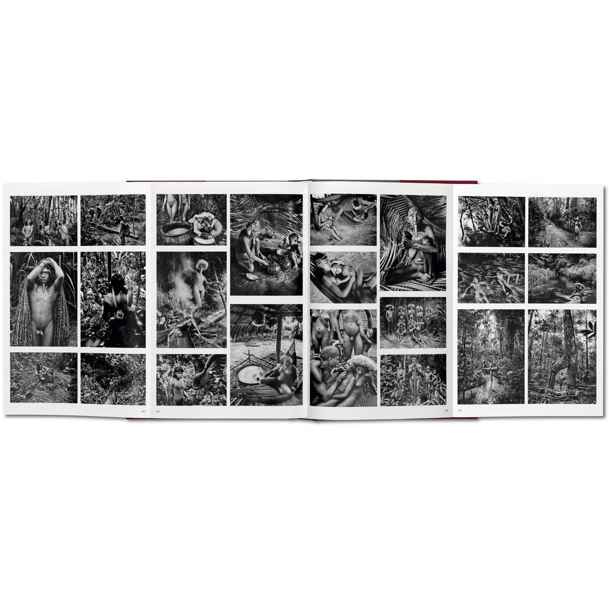 Sebastião Salgado. Genesis (Capa dura) 8
