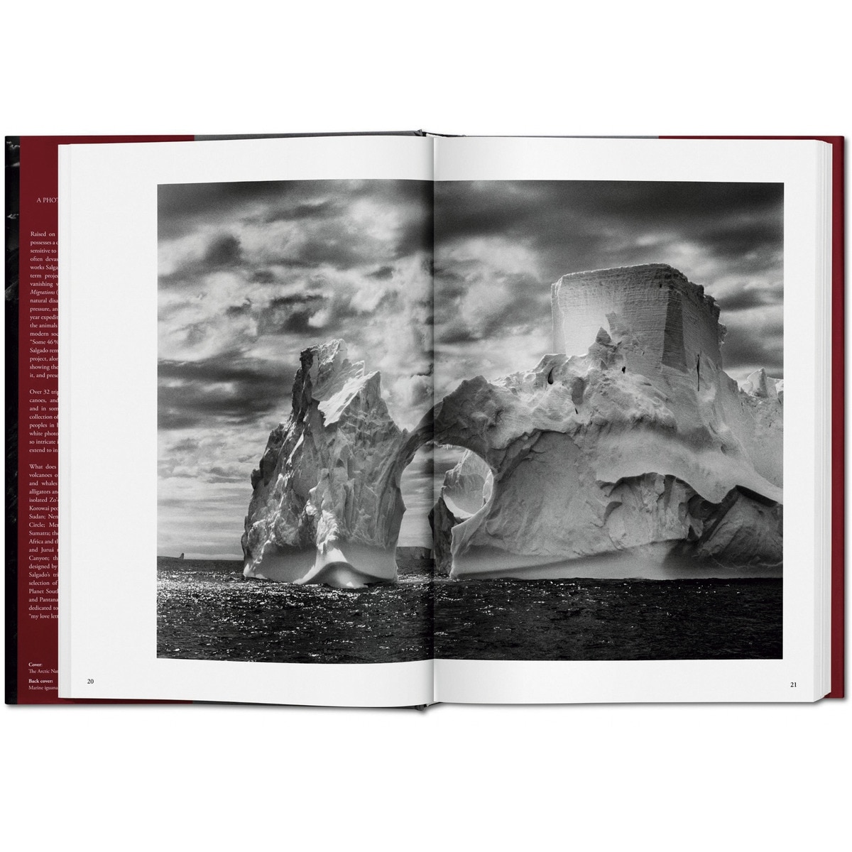 Sebastião Salgado. Genesis (Capa dura) 11