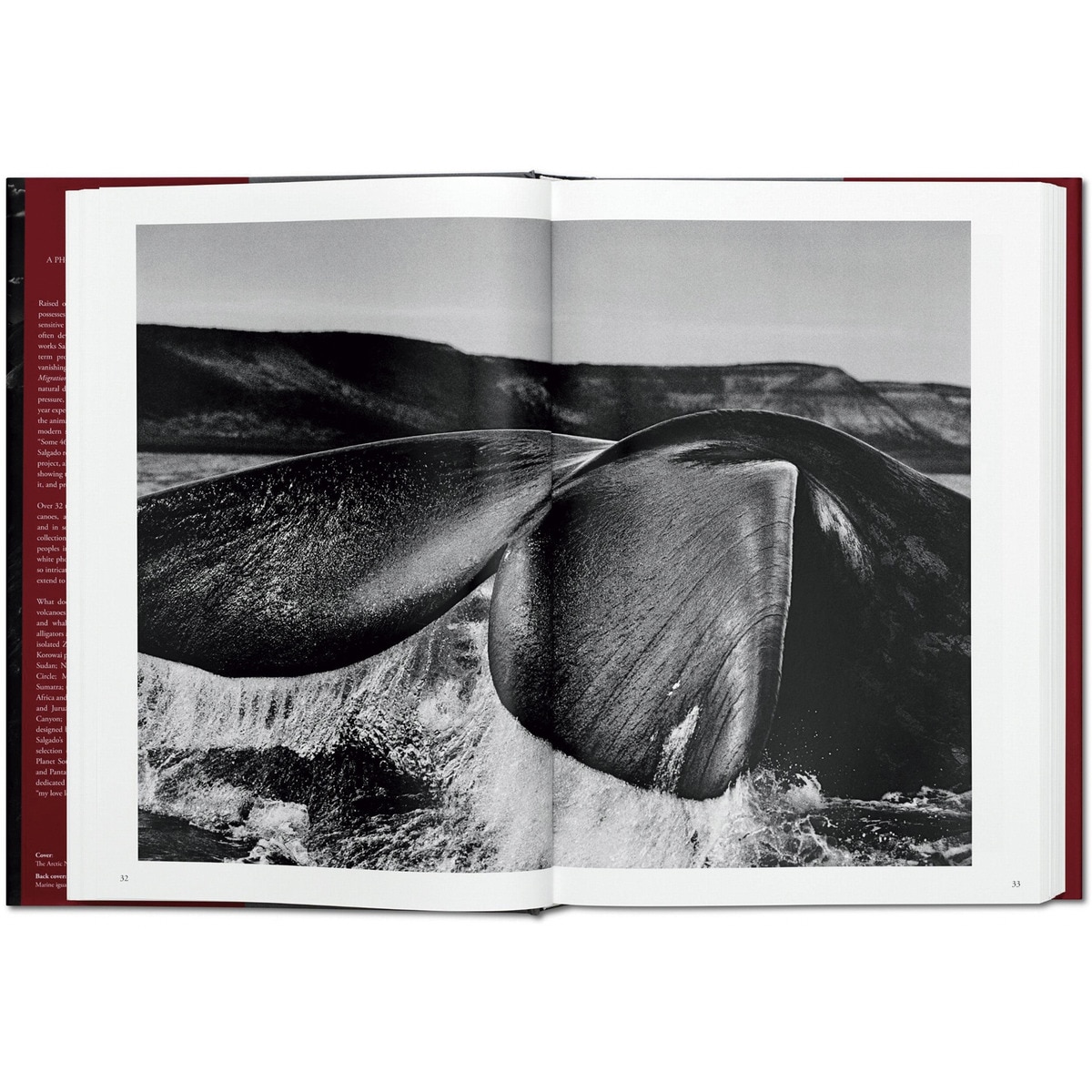 Sebastião Salgado. Genesis (Capa dura) 10