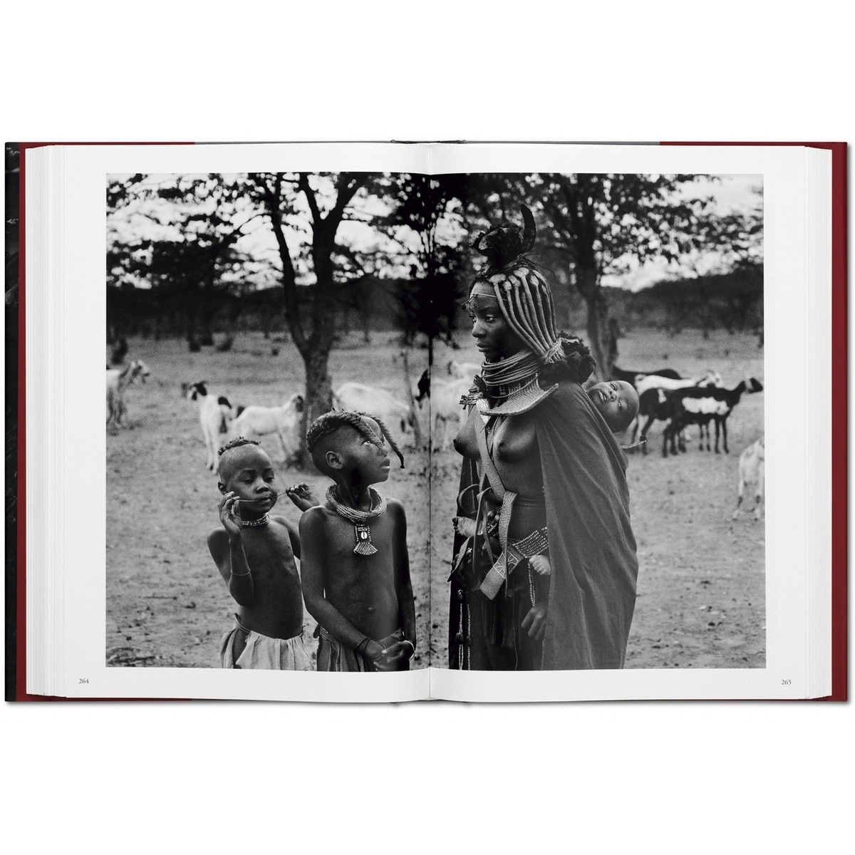 Sebastião Salgado. Genesis (Capa dura) 6