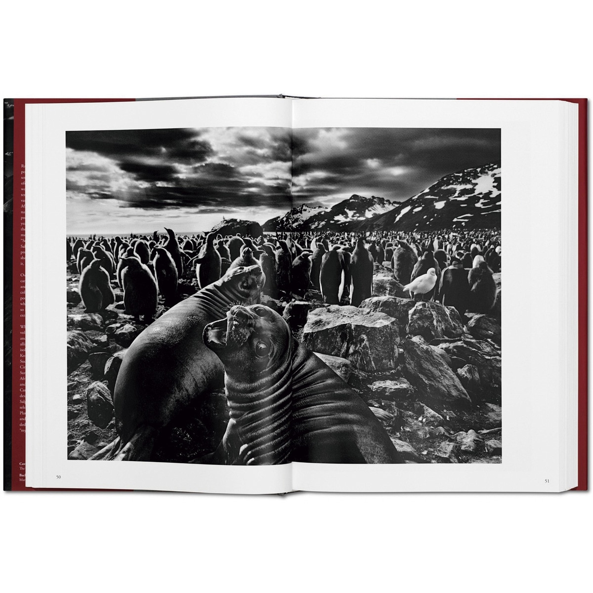 Sebastião Salgado. Genesis (Capa dura) 5