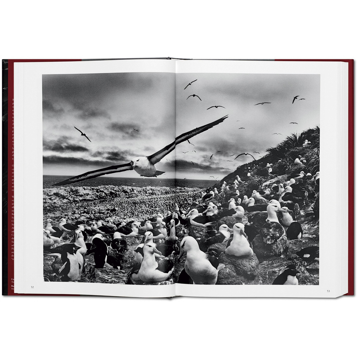 Sebastião Salgado. Genesis (Capa dura) 4