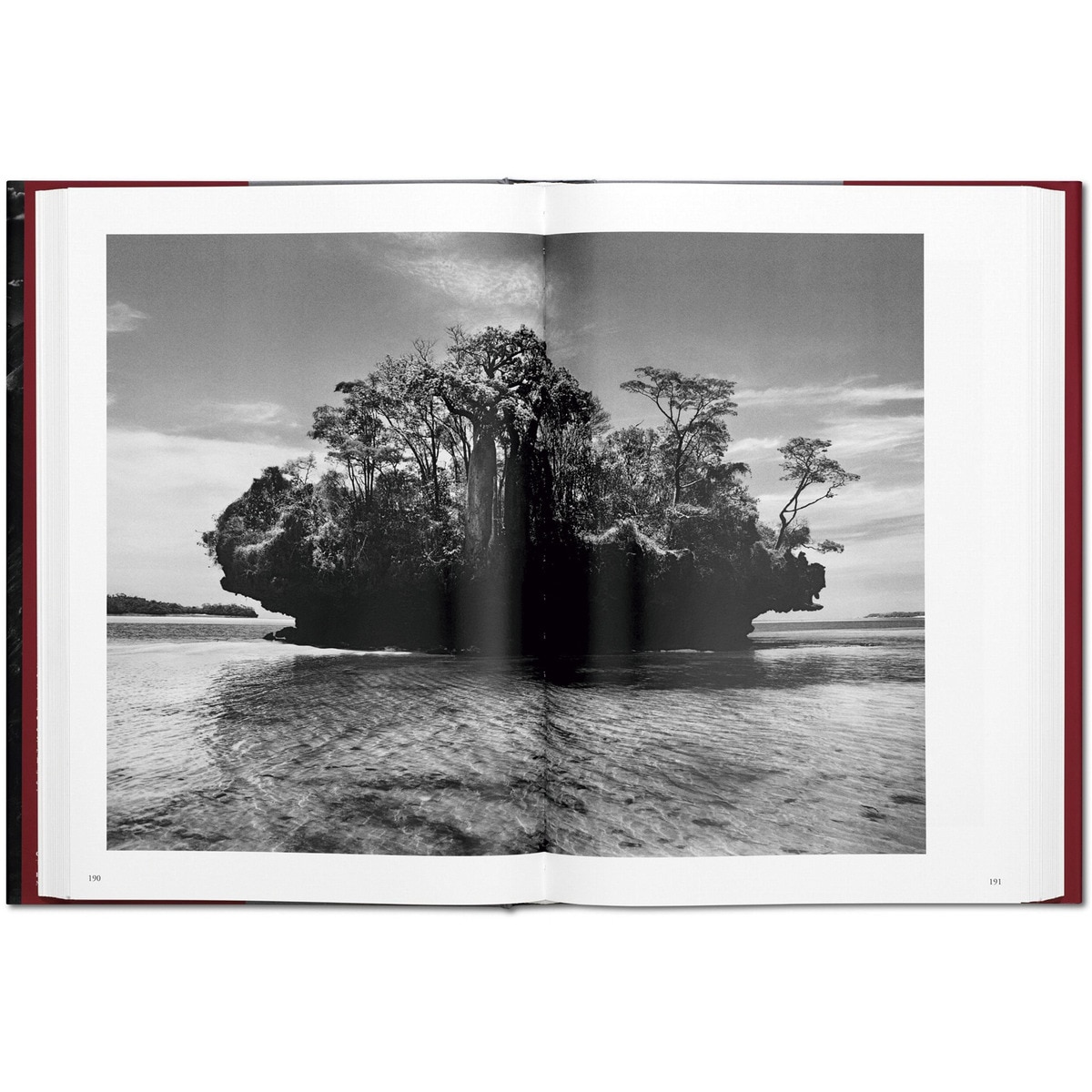 Sebastião Salgado. Genesis (Capa dura) 3