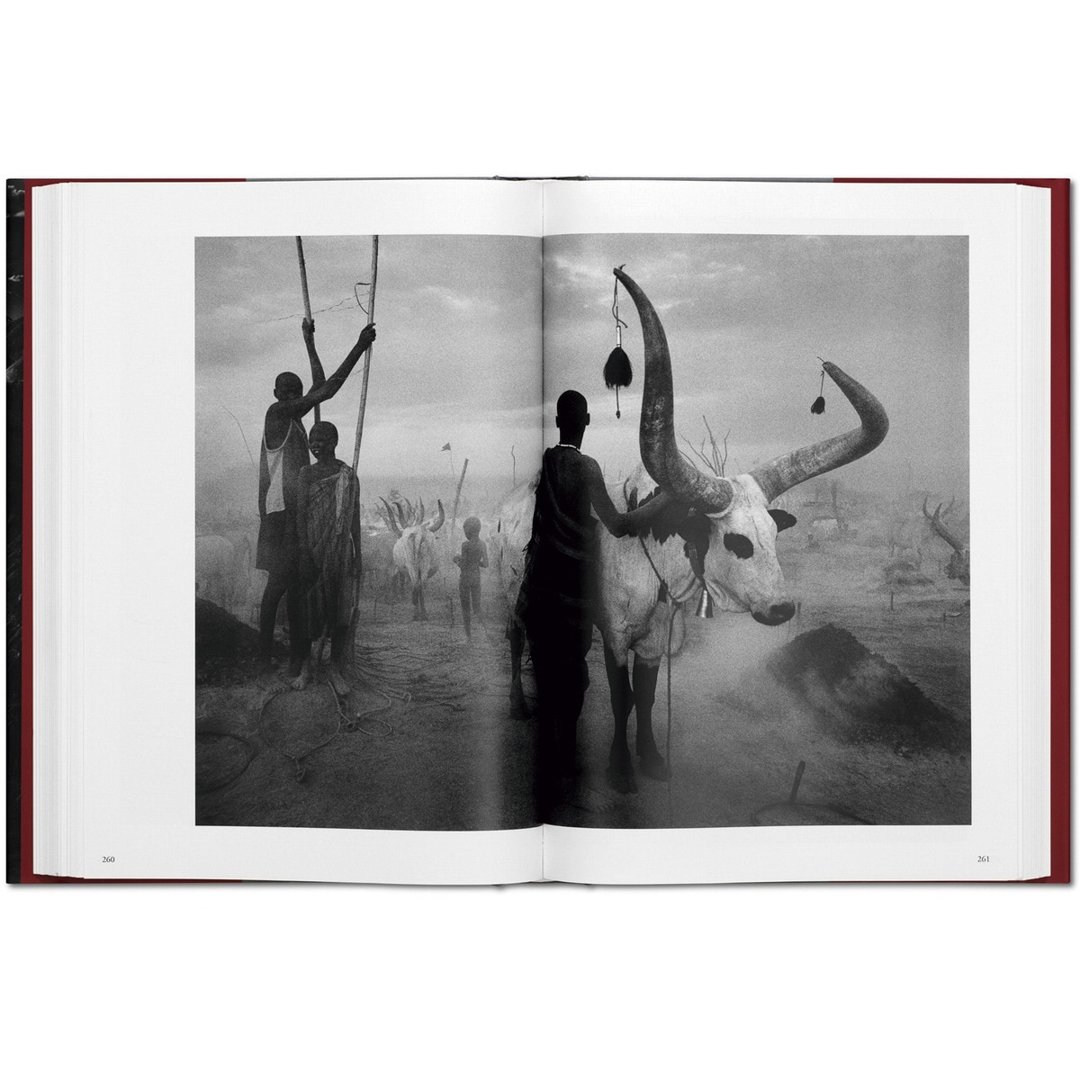 Sebastião Salgado. Genesis (Capa dura) 2
