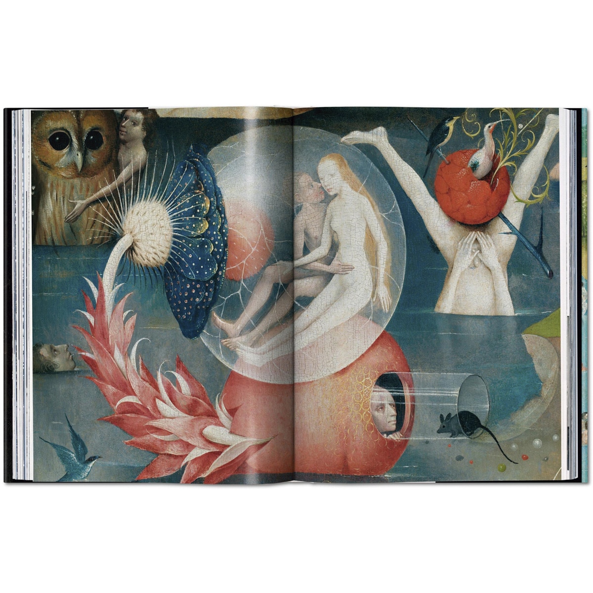 Bosch. L&&uvre complet (Capa dura) 6