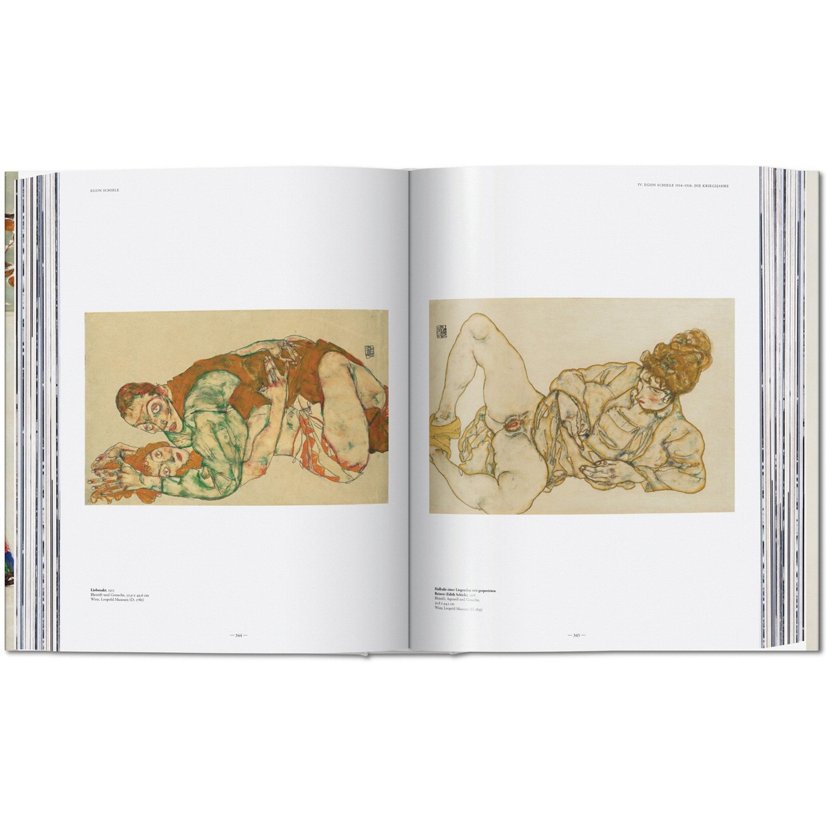 Egon Schiele. Sämtliche Gemälde 1909-1918 (Capa dura) 8