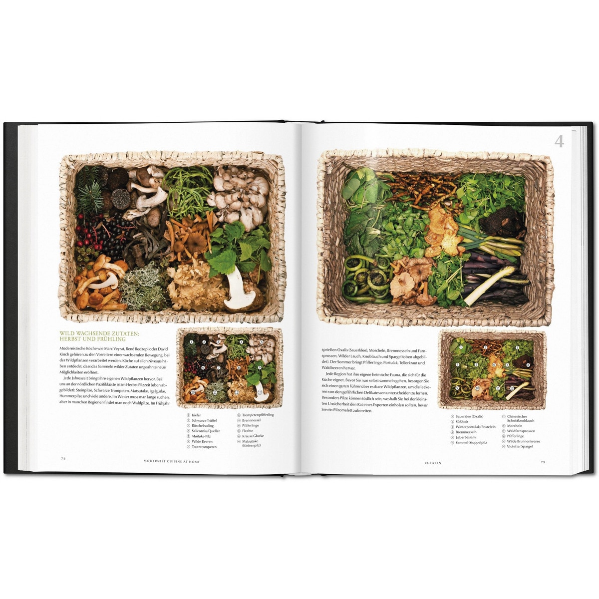 Modernist Cuisine at Home (Capa dura) 3