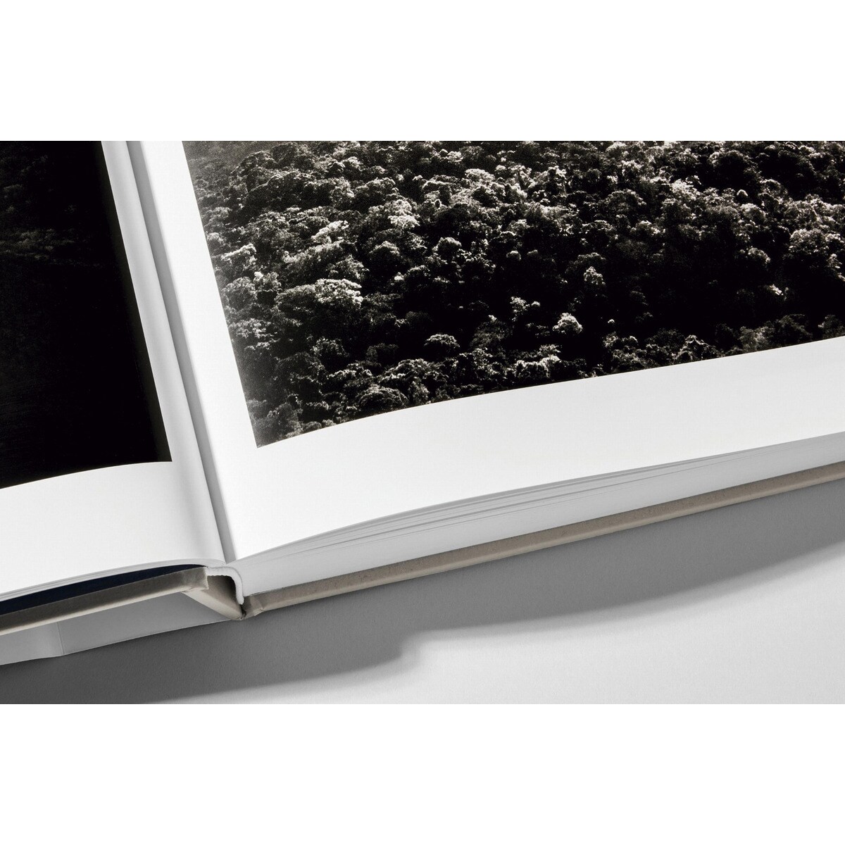 Sebastião Salgado. Amazônia (Capa dura) 17