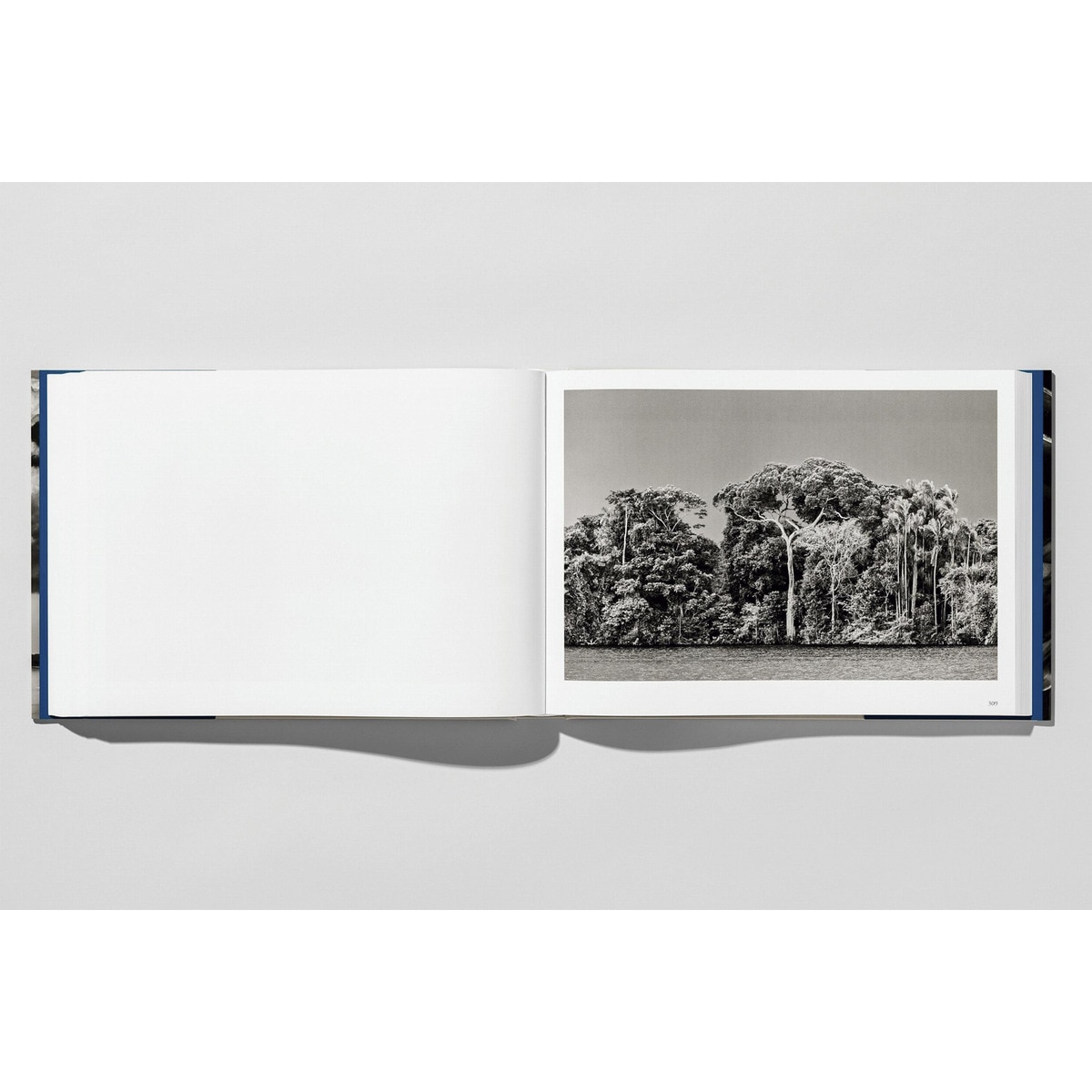 Sebastião Salgado. Amazônia (Capa dura) 14