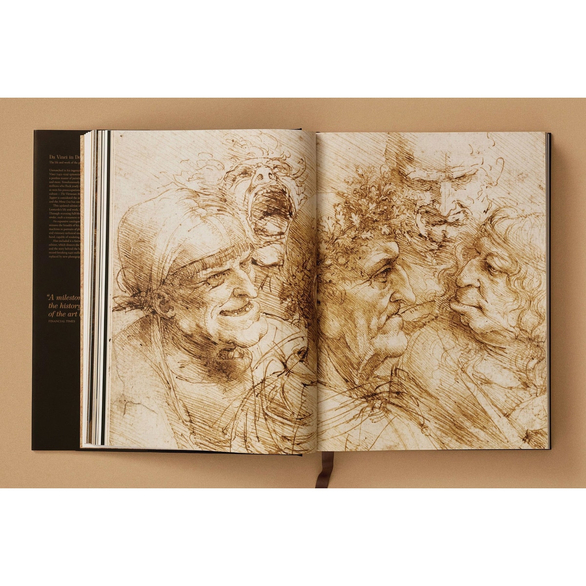 Leonardo. Sämtliche Gemälde und Zeichnungen (Capa dura) 5