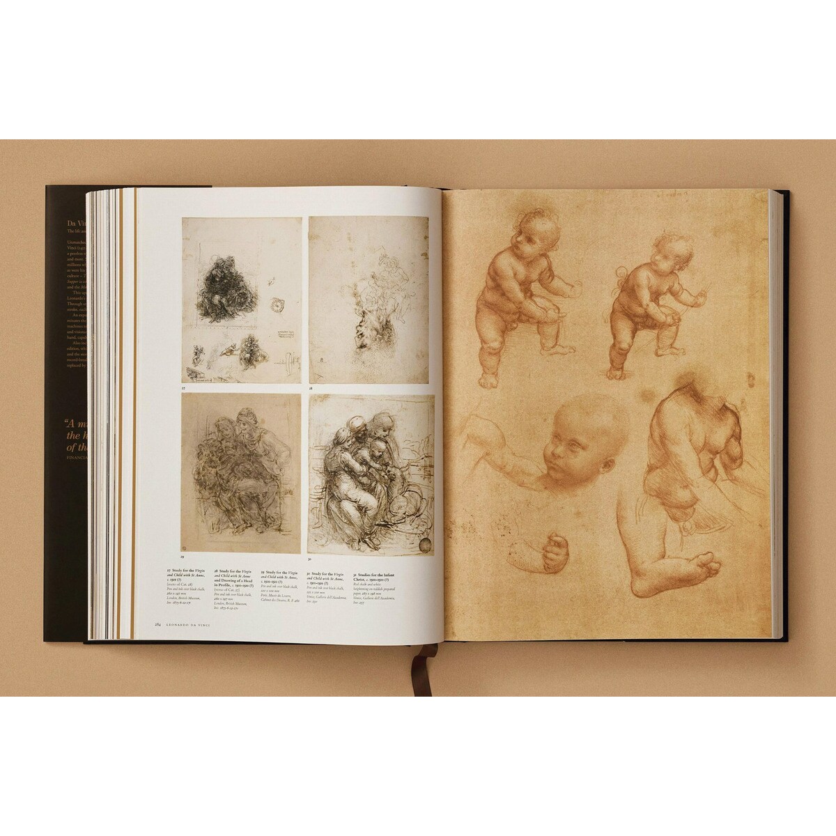 Leonardo. Sämtliche Gemälde und Zeichnungen (Capa dura) 14