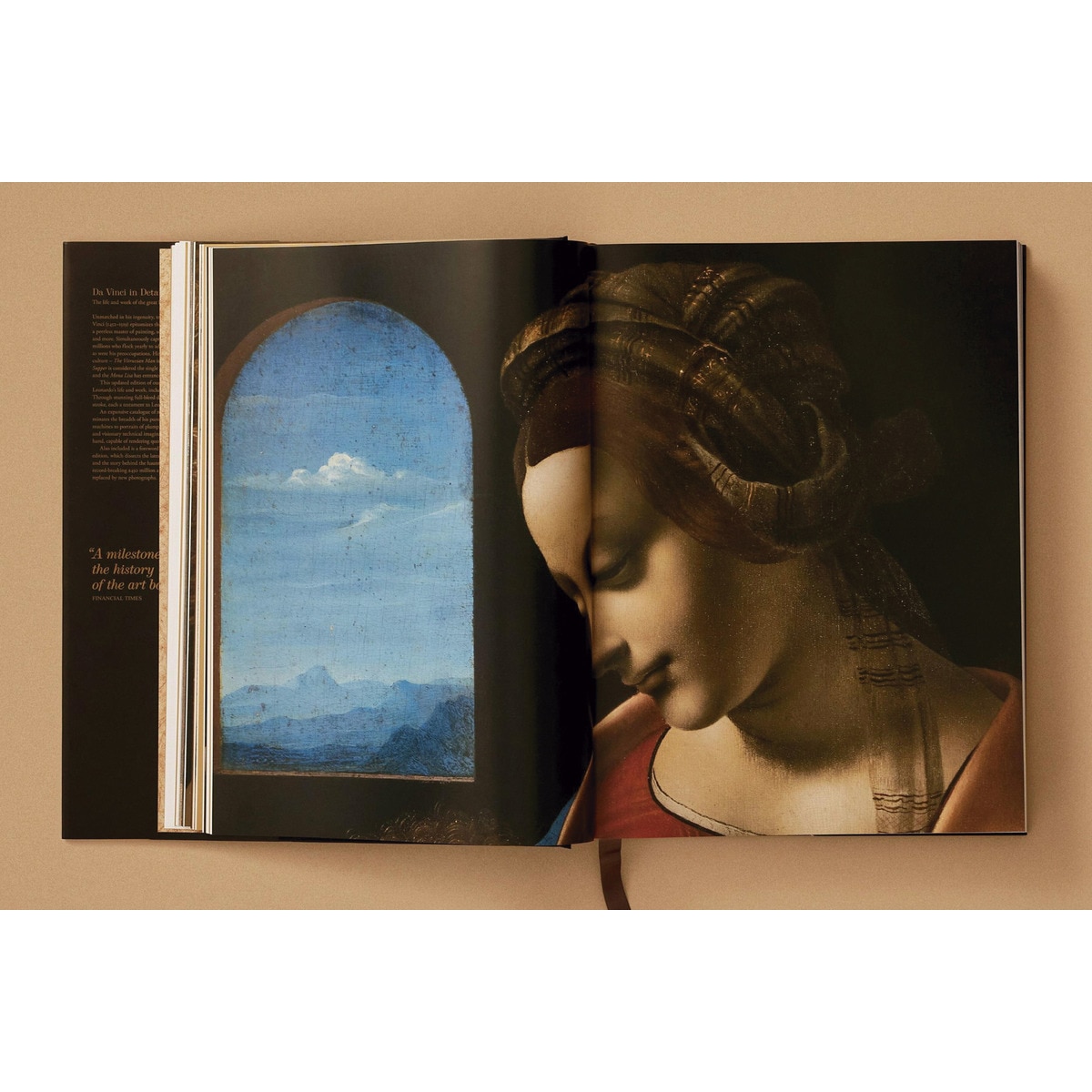 Leonardo. Sämtliche Gemälde und Zeichnungen (Capa dura) 12