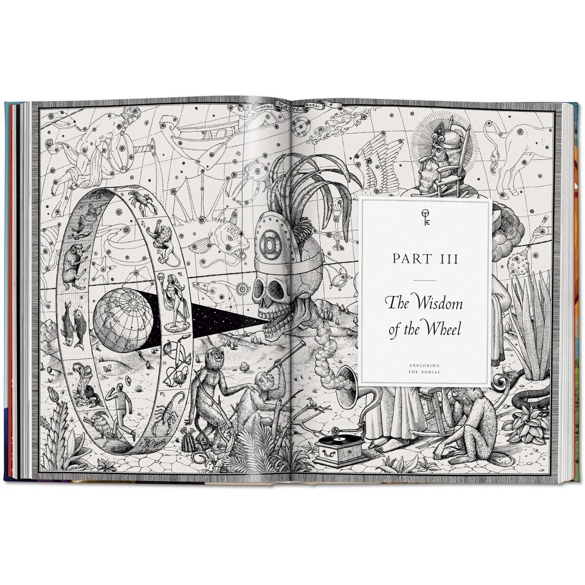 Astrologie. La Bibliothèque de l'Ésotérisme (Capa dura) 12
