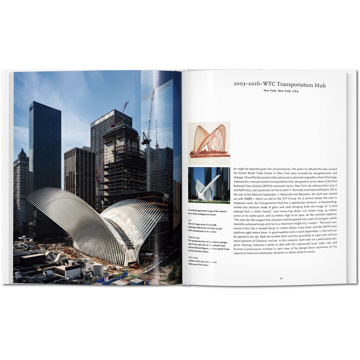 Calatrava (Capa dura) 7