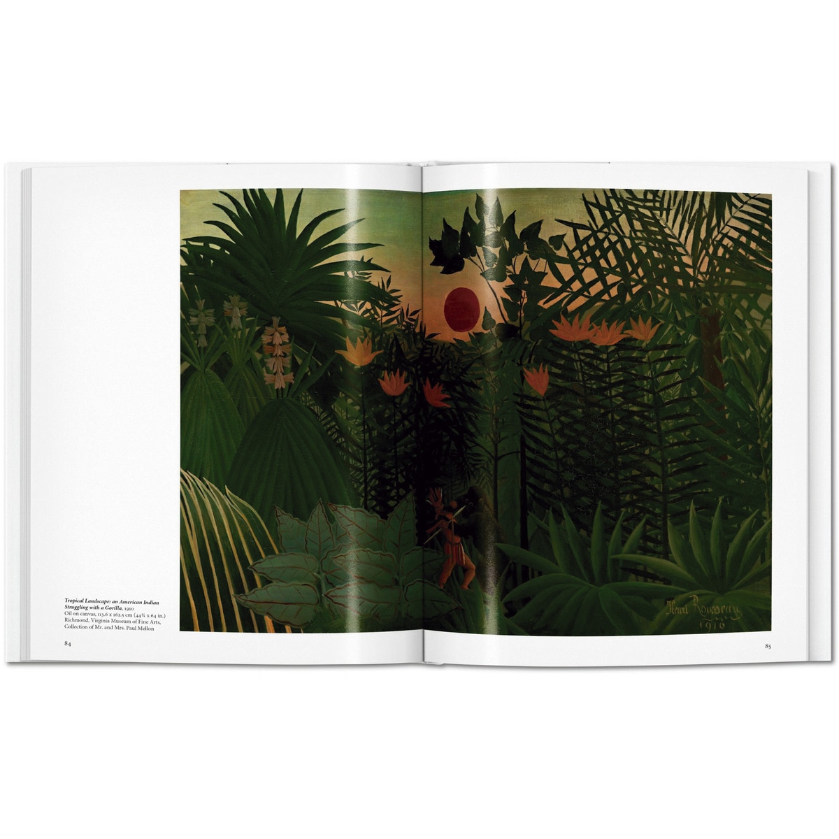Rousseau (Capa dura) 2
