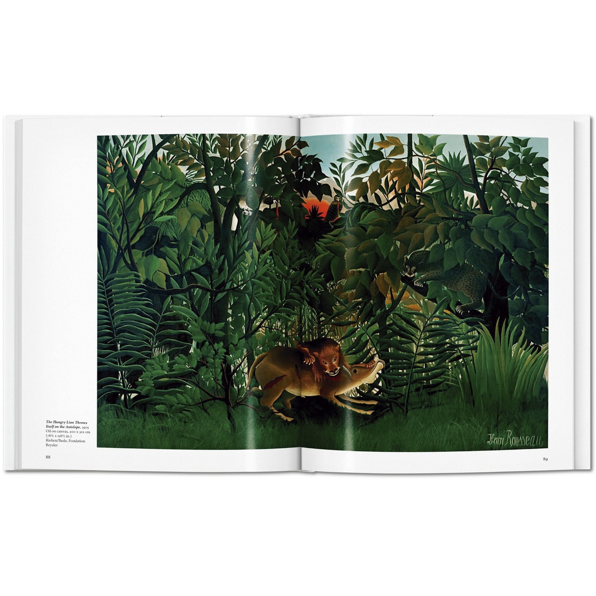 Rousseau (Capa dura) 6