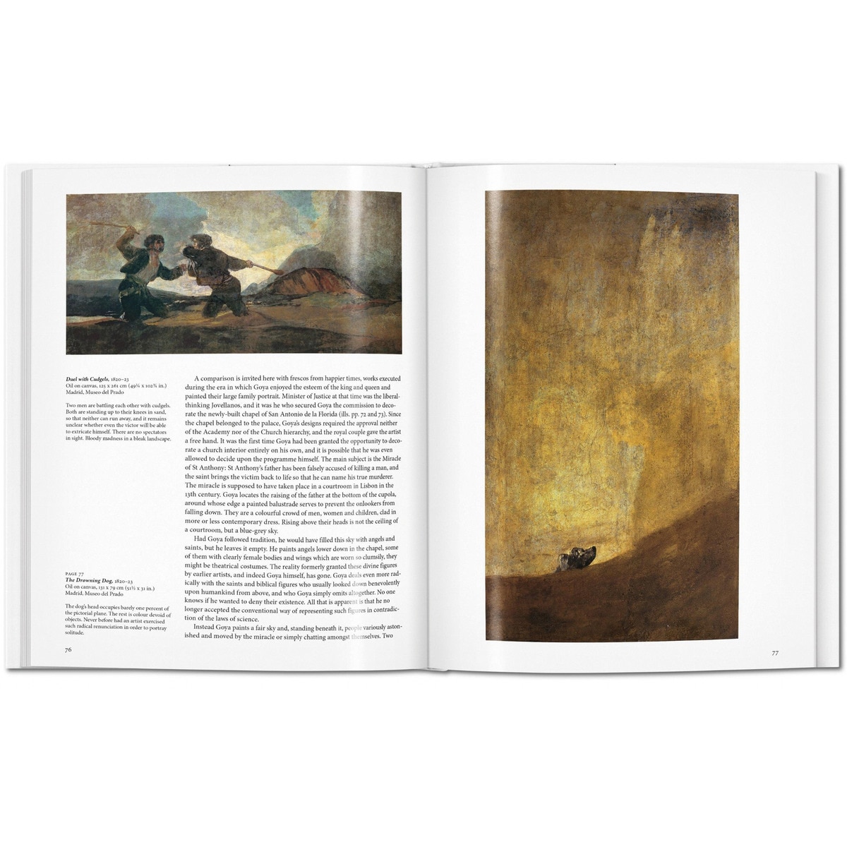 Goya (Capa dura) 6