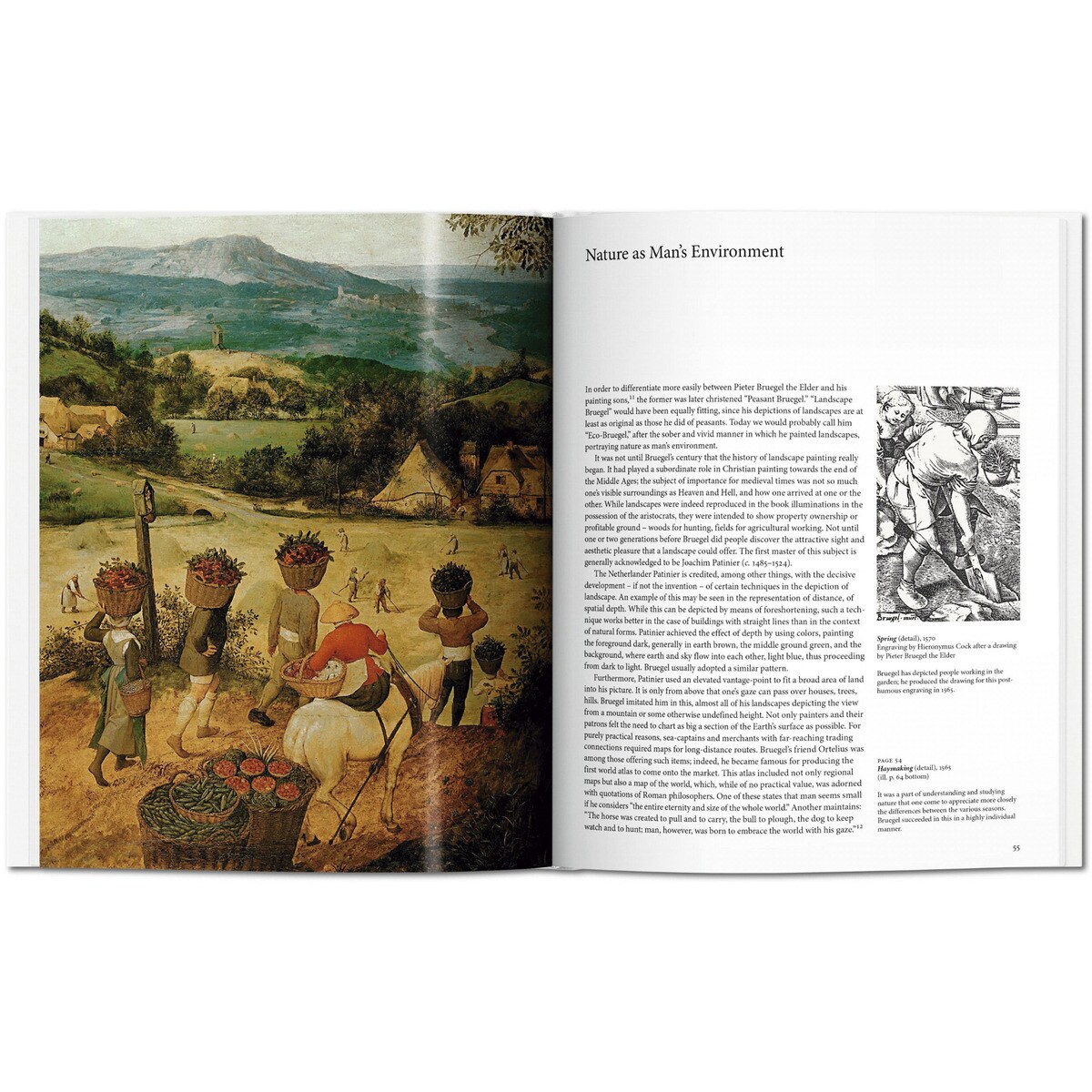 Bruegel (Capa dura) 6