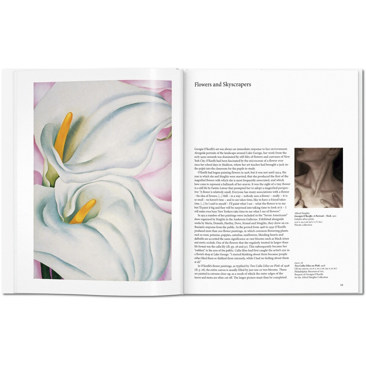 O'Keeffe (Capa dura) 7