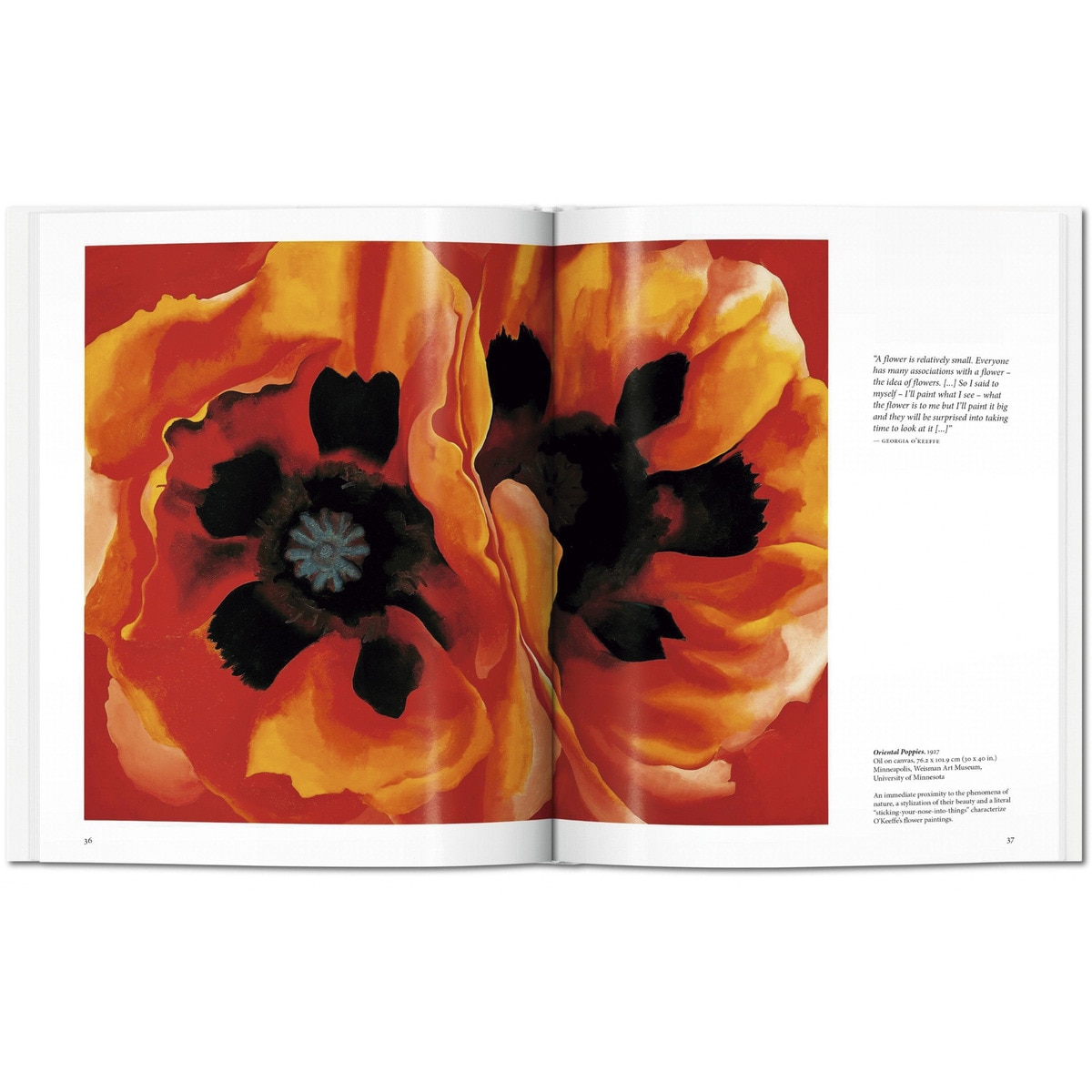 O'Keeffe (Capa dura) 3