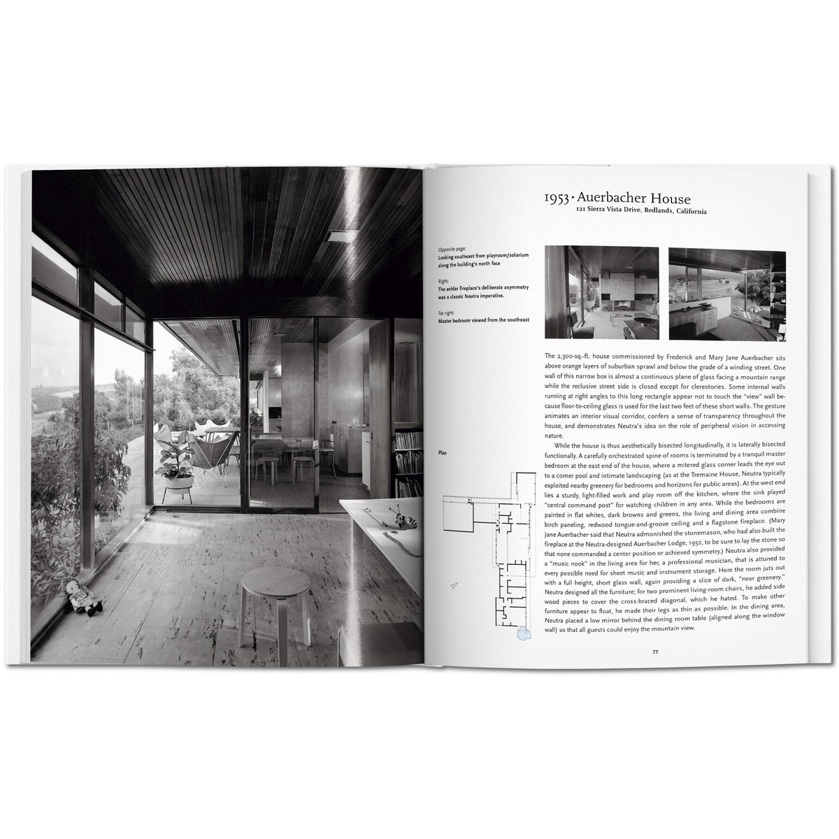 Neutra (Capa dura) 2