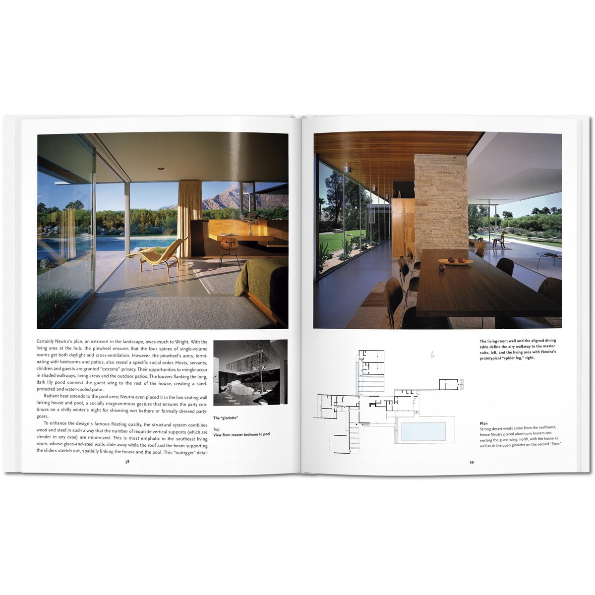 Neutra (Capa dura) 7