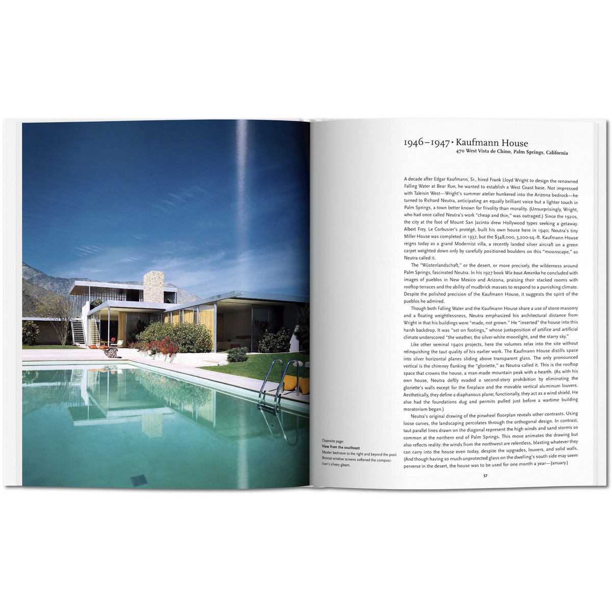 Neutra (Capa dura) 4