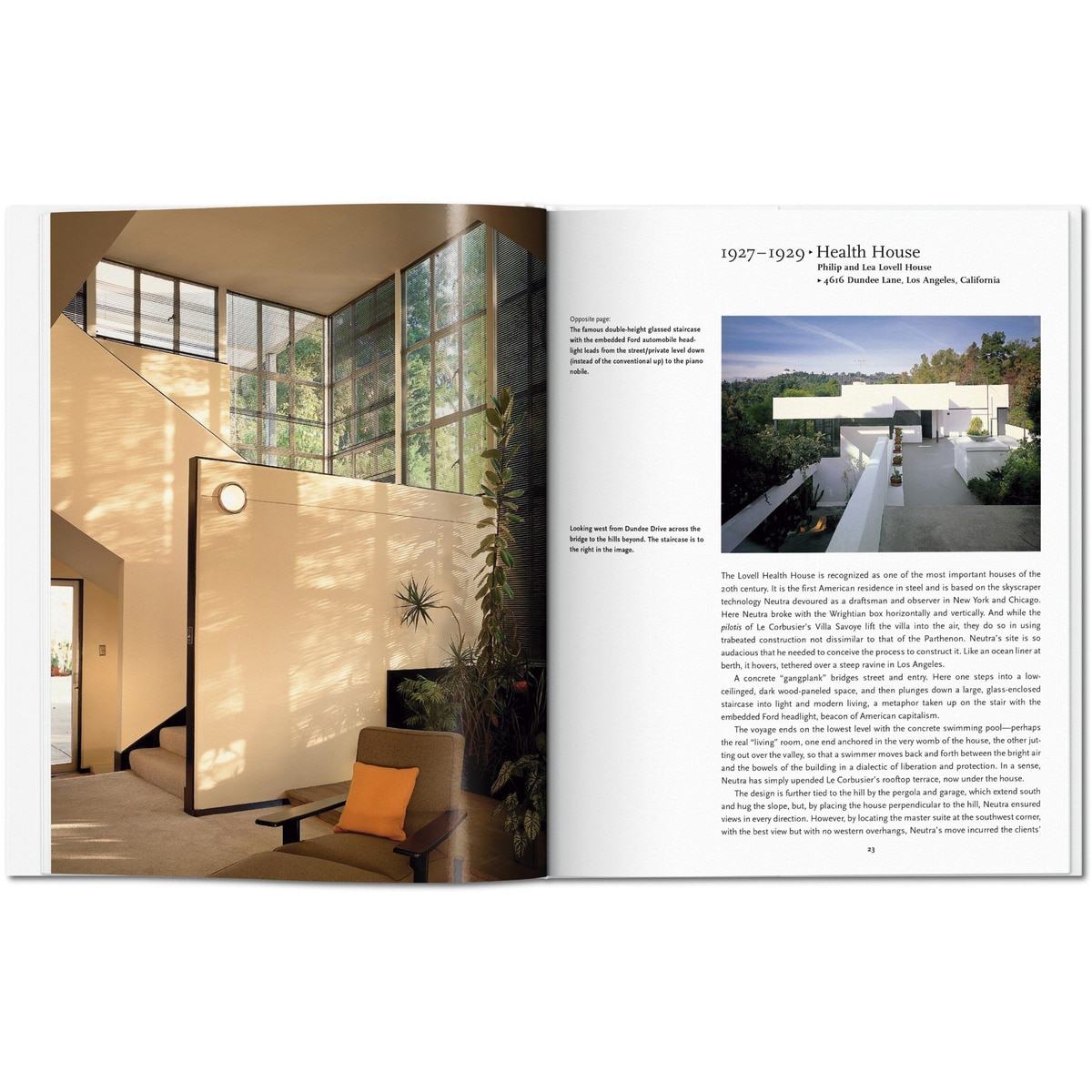 Neutra (Capa dura) 5