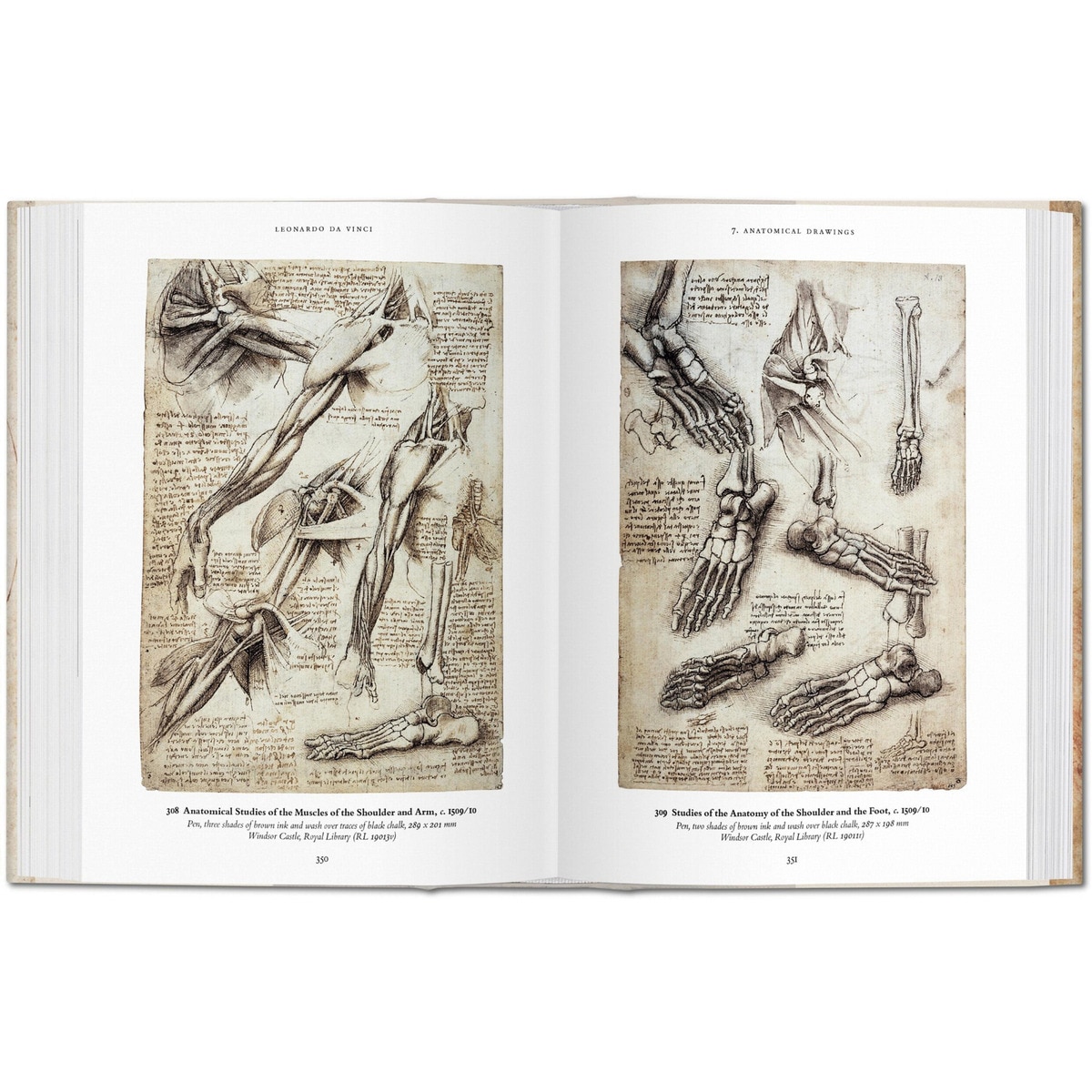 Leonardo. Sämtliche Zeichnungen (Capa dura) 5